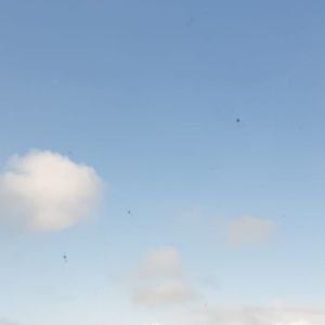 Meet your Posher, Kristina